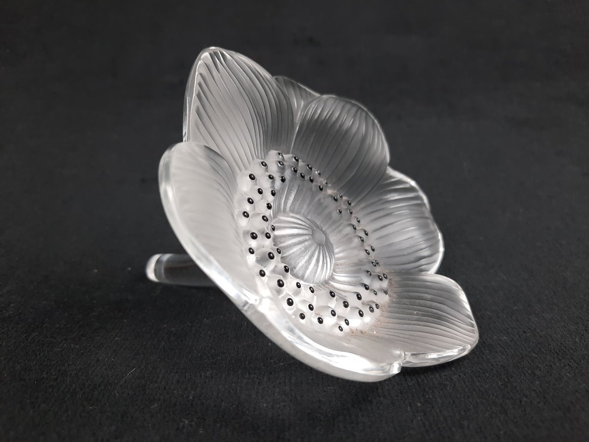 Lalique - Anemone Crystal Paperweight-photo-3