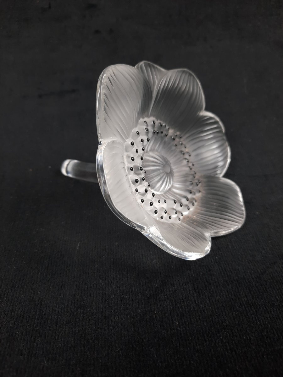 Lalique - Anemone Crystal Paperweight-photo-4