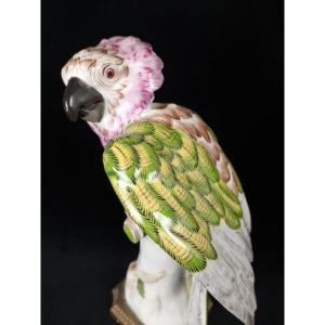 Porcelain Sculpture Of A Parrot - Paris 20th Century