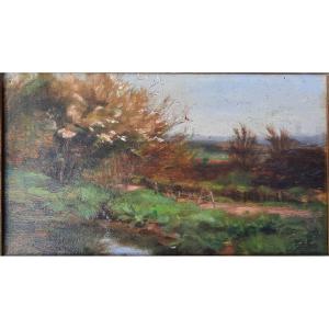 Oil On Panel - Landscape - 20th Century