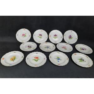 Saxony Porcelain Dessert Plate Series