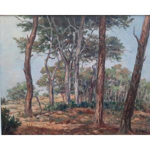 Huile Sur Panneau - Paysage Du Var - Maurice Patton (xxe Siècle)