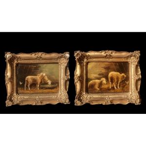 Pair Of Oils On Wood - Sheep - Fortier (20th Century)