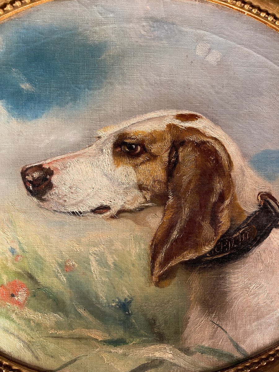 Profile Portrait Of A Hunting Dog, N°2-photo-3