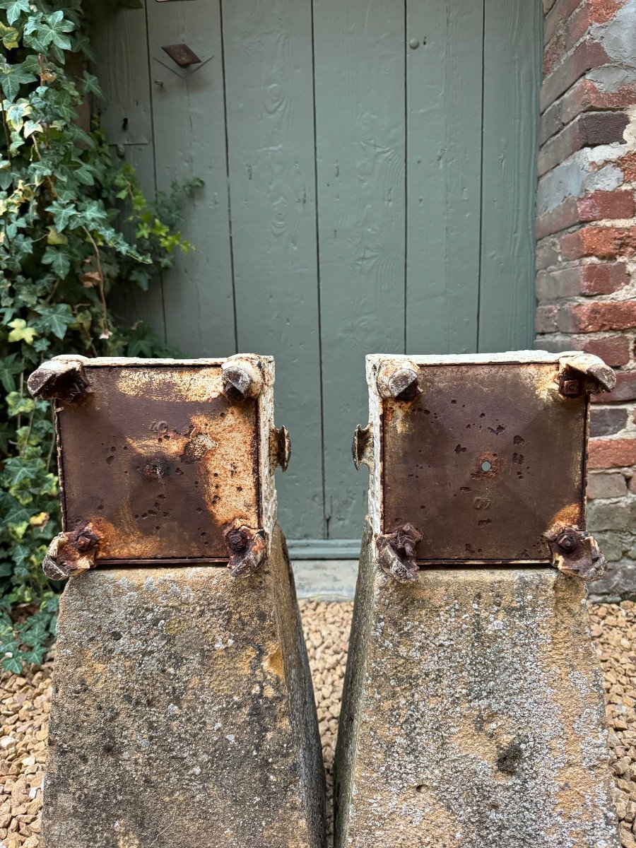 Pair Of 19th Century Cast Iron Planters-photo-2