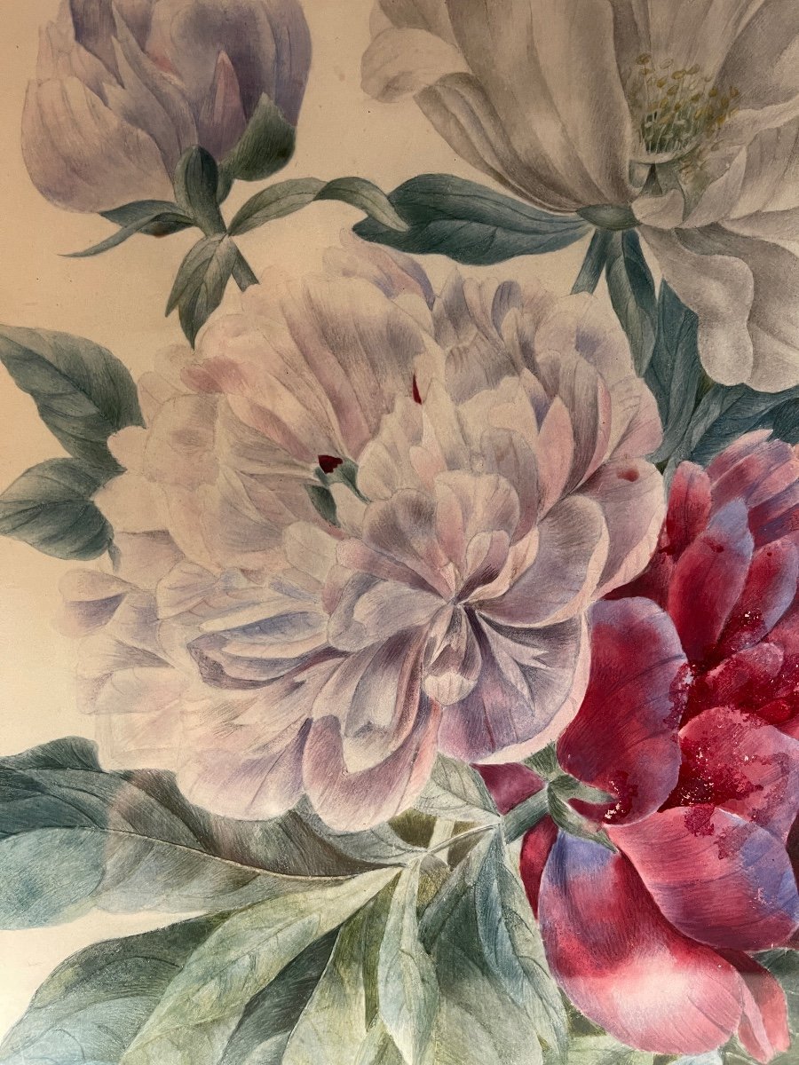 Peonies On Vellum Paper, 19th Century Watercolor-photo-3