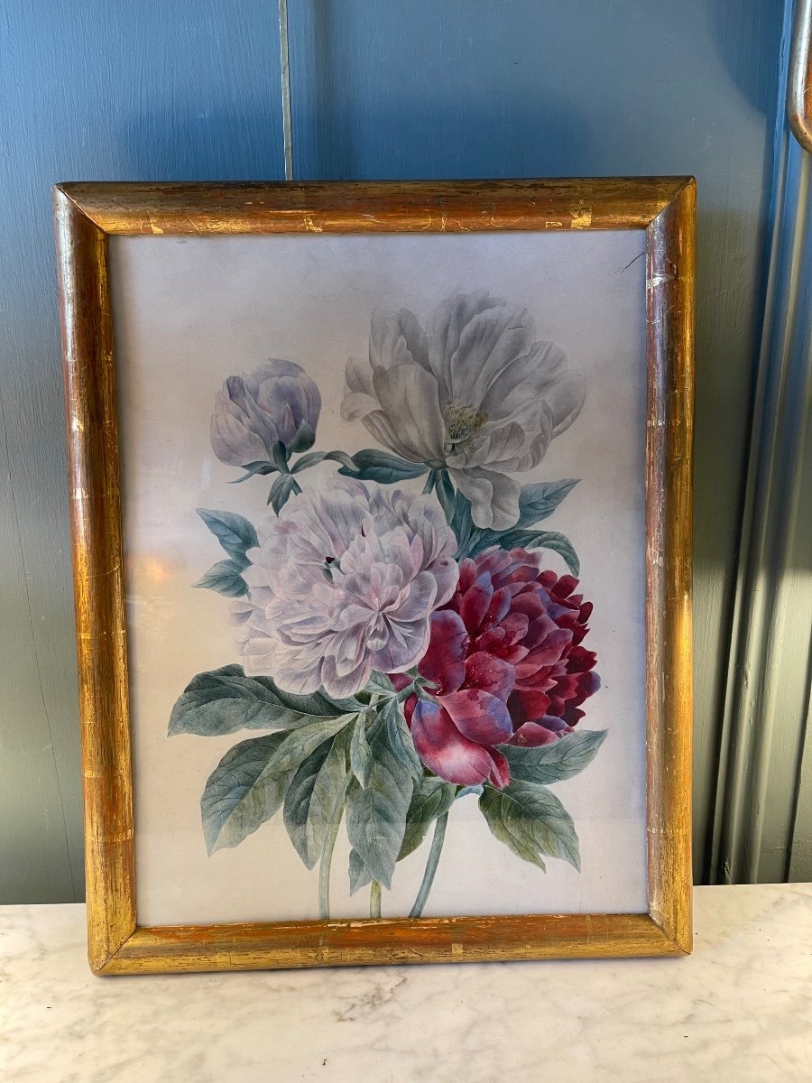 Peonies On Vellum Paper, 19th Century Watercolor-photo-5