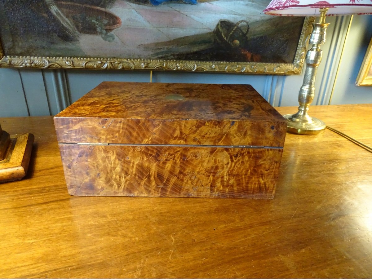 Thuja Burl Travel Necessary Box-photo-6