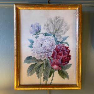 Peonies On Vellum Paper, 19th Century Watercolor