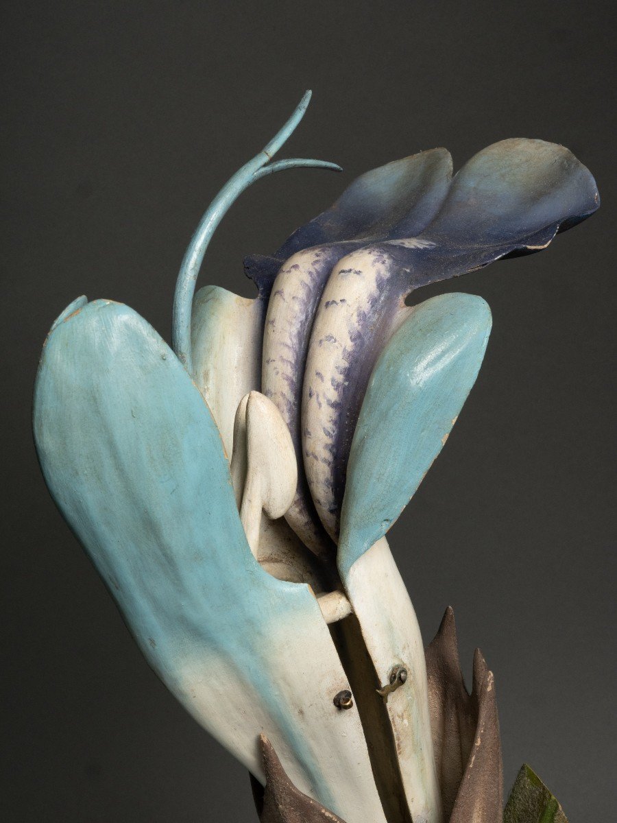 Anatomical Model Of A Sage Flower - Brendel - 19th Century-photo-2