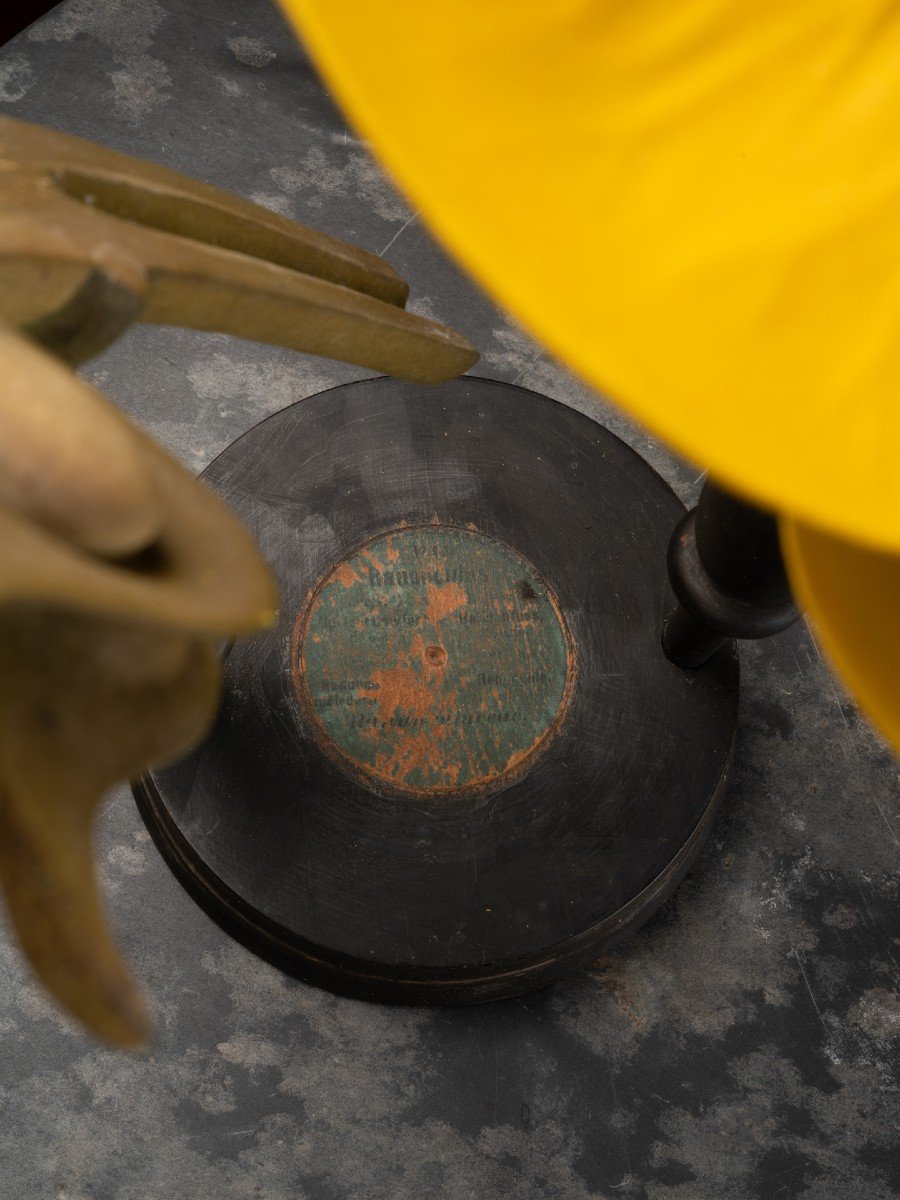 Modèle Botanique D’une Fleur De Bouton D’or Par R. & R. Brendel-photo-4