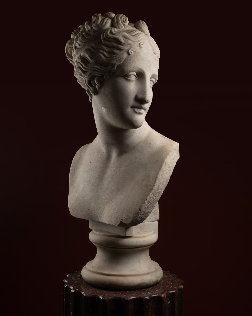 Marble Bust Of The Venus Italica, After Antonio Canova-photo-2