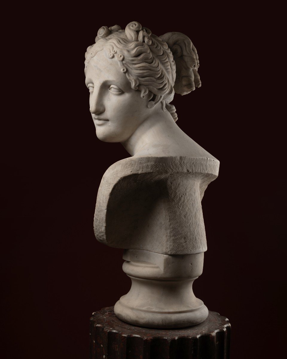 Marble Bust Of The Venus Italica, After Antonio Canova-photo-3