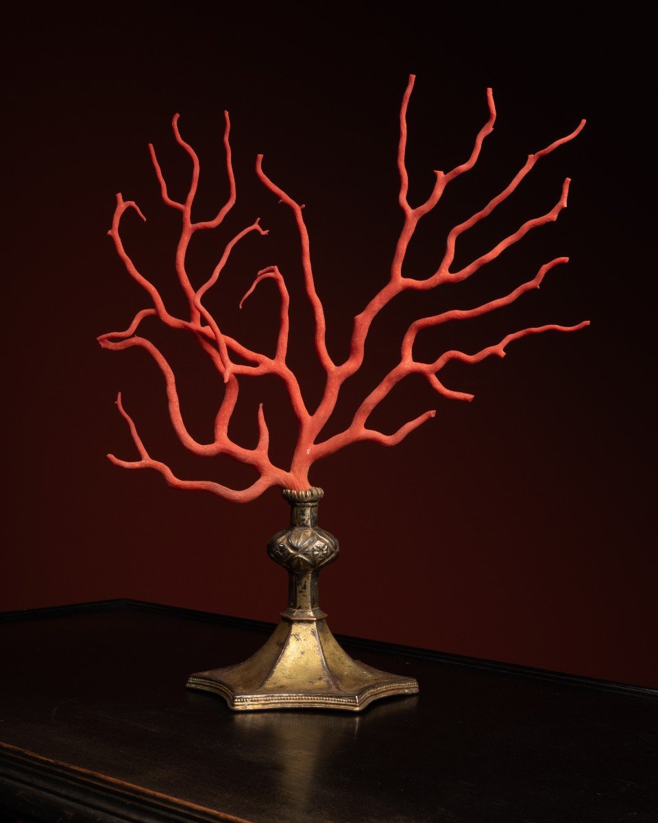 Red Coral Branch Set On A Gothic Brass Base