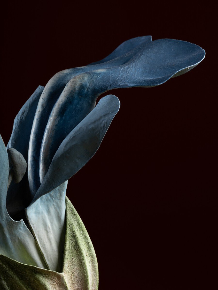 Botanical Model Of A Sage Flower By Robert Brendel-photo-1