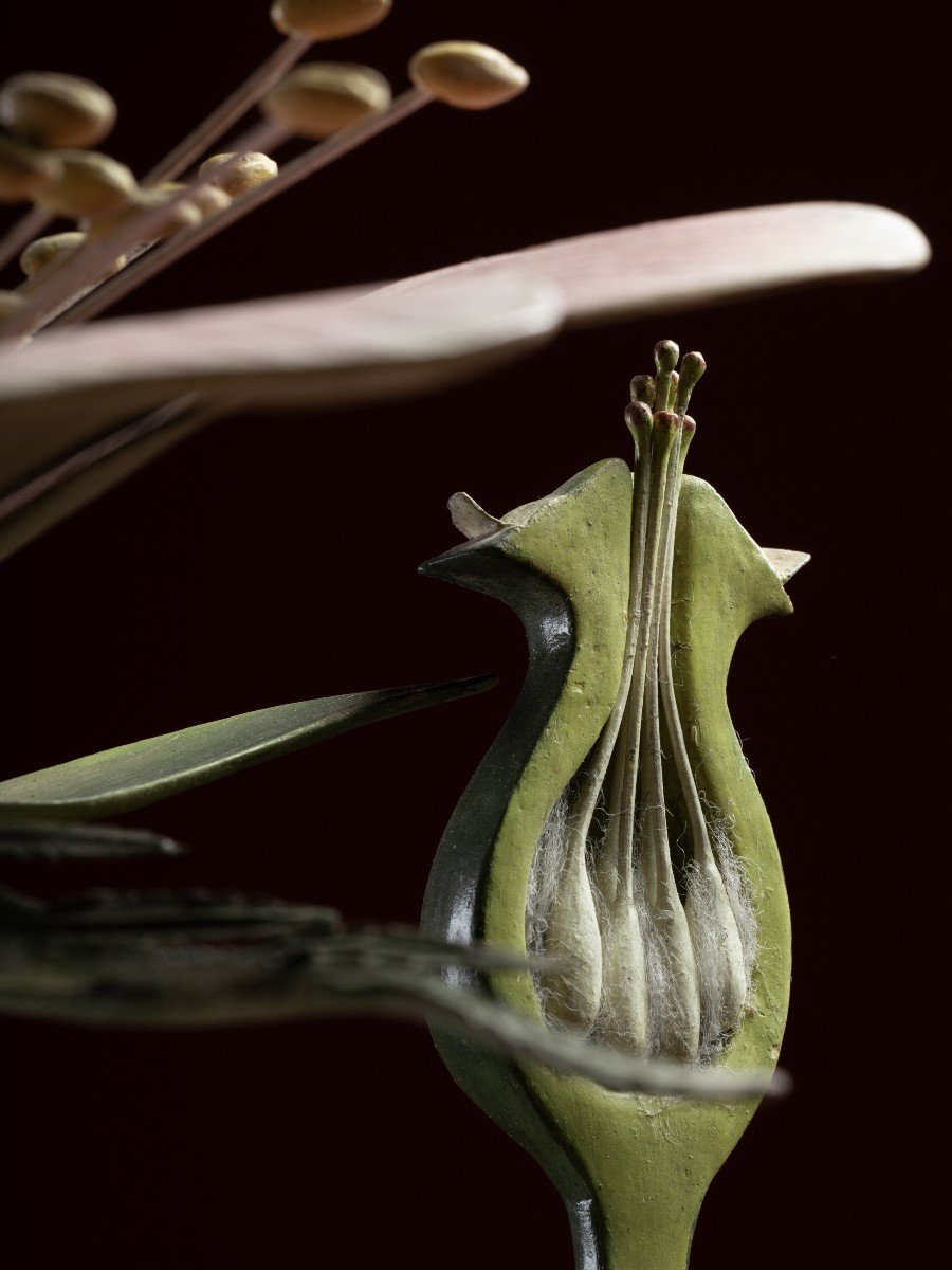 Modèle botanique d'une fleur d’Églantier (Rosa canina) par Reinhold Brendel-photo-3