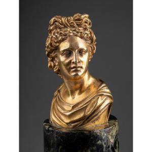 Apollo Belvedere Bust on Roman Plinth - Design Toscano