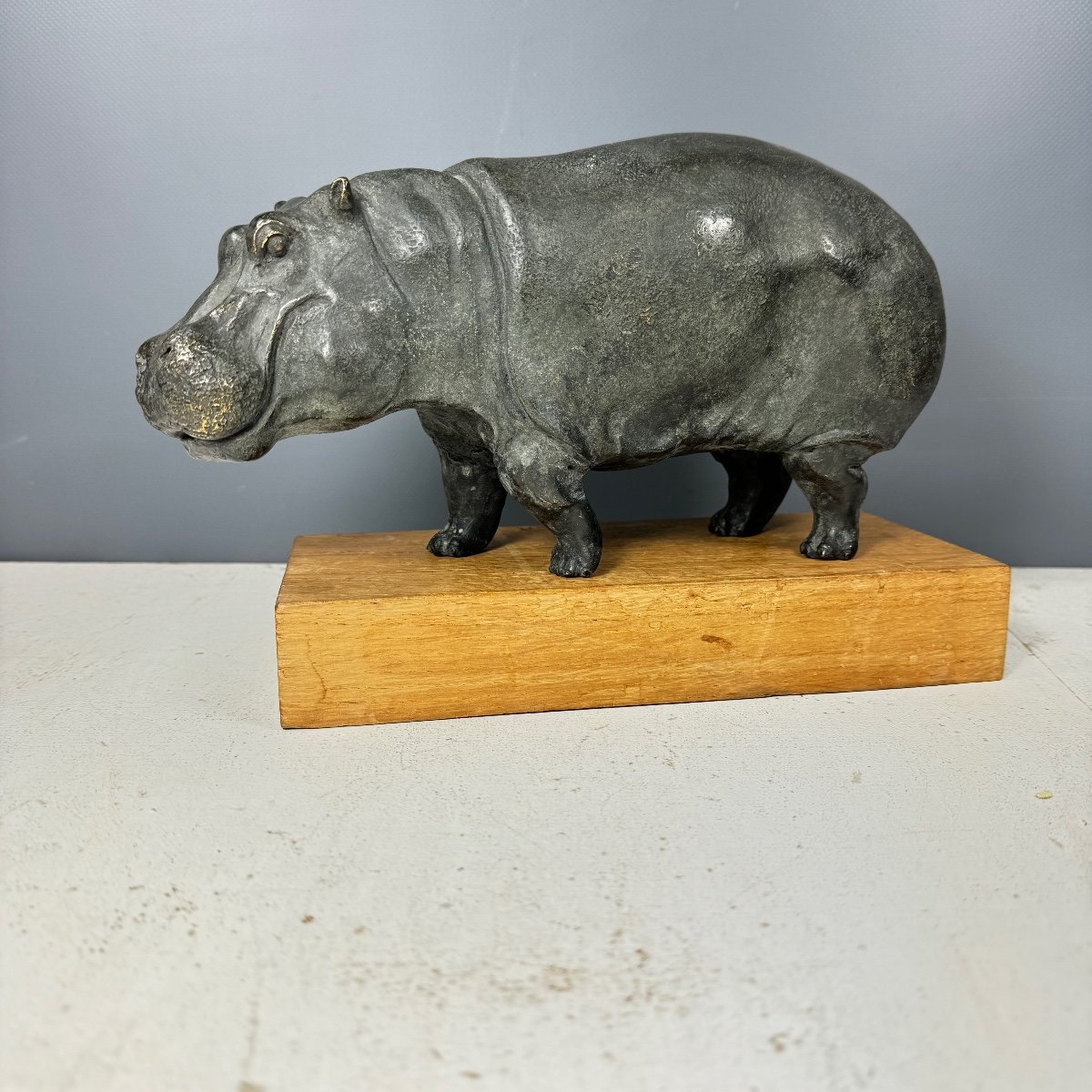 Bronze Hippopotamus