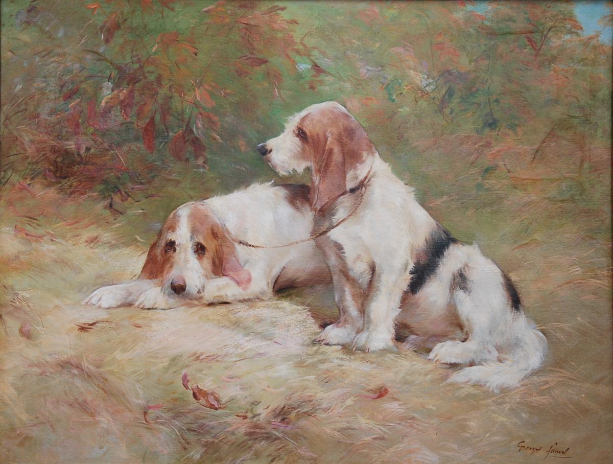 Huile Sur Toile De Bassets Griffons Vendéens