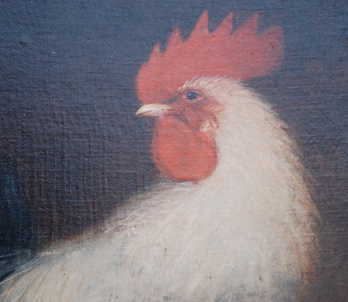 Le Coq Huile Sur Toile-photo-1