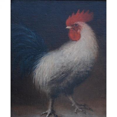 Le Coq Huile Sur Toile