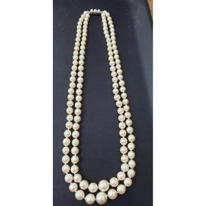 2 Row Pearl Necklace