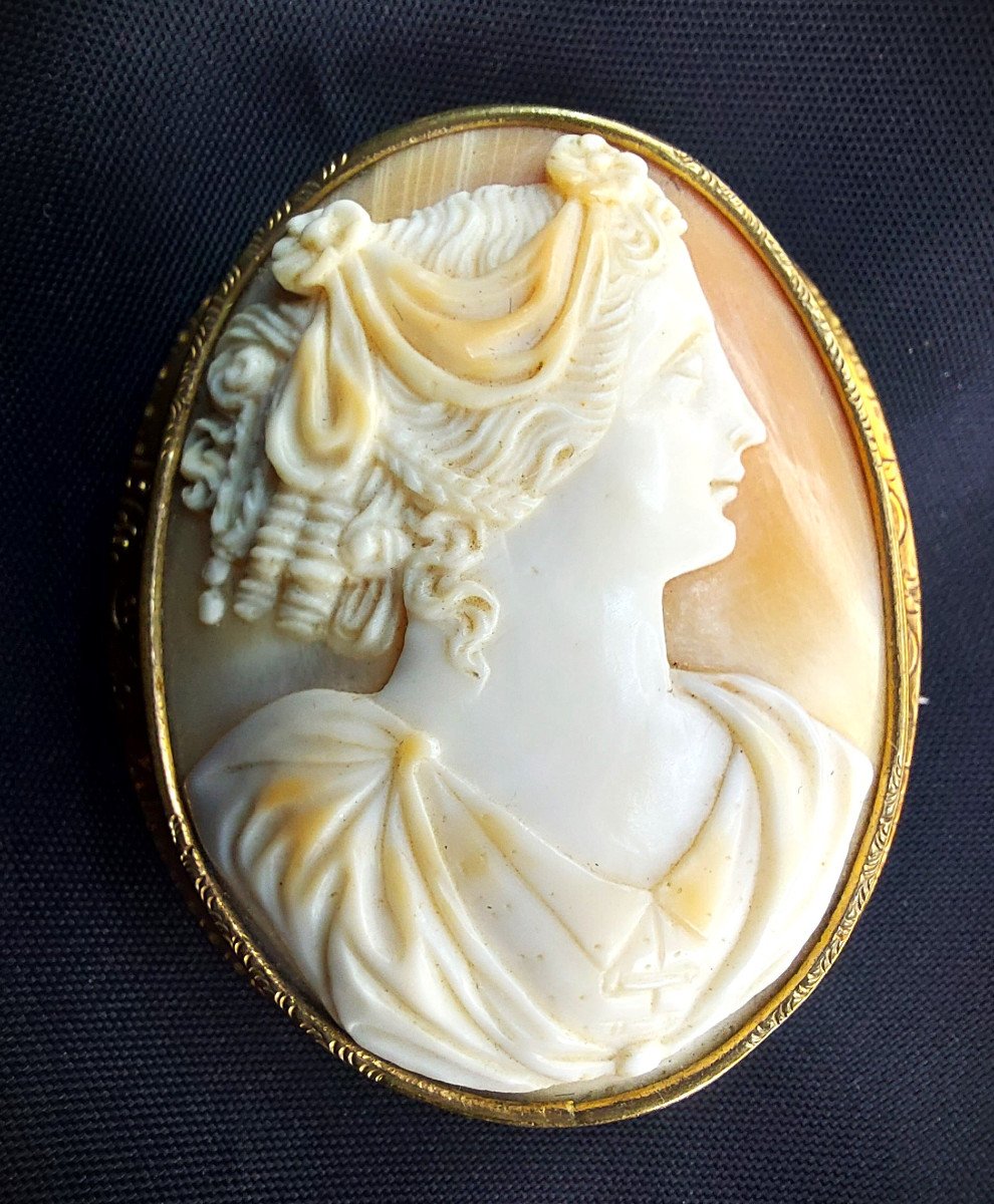 Shell Cameo On Brooch-photo-3