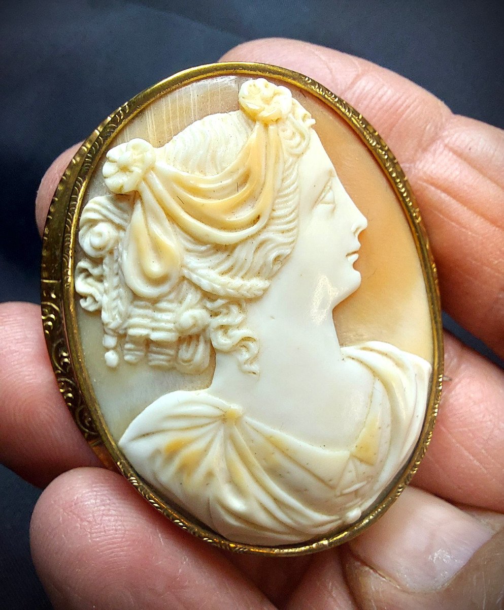 Shell Cameo On Brooch-photo-1