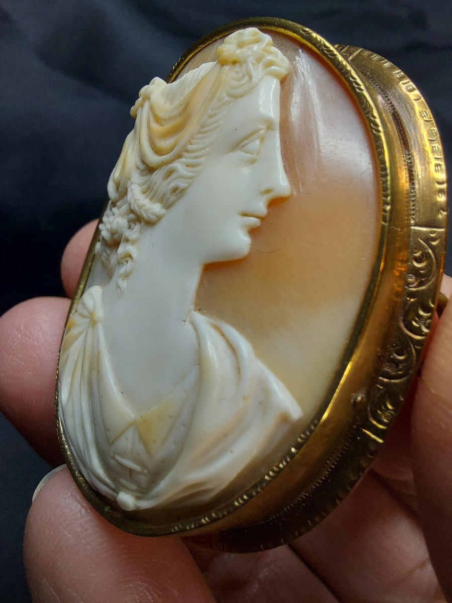 Shell Cameo On Brooch-photo-3