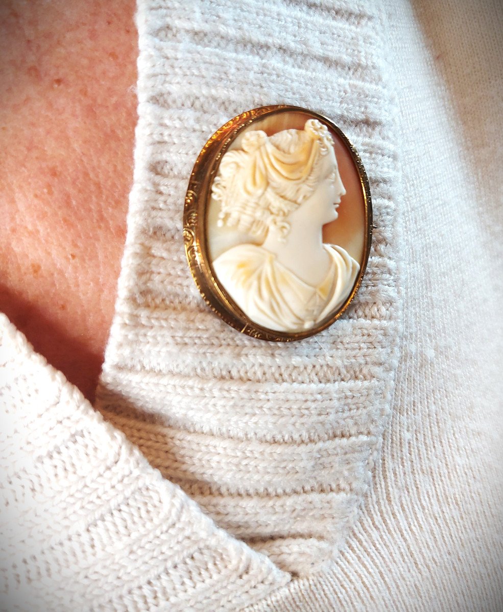 Shell Cameo On Brooch-photo-7