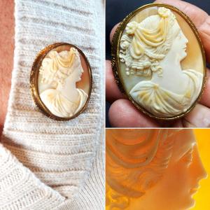 Shell Cameo On Brooch