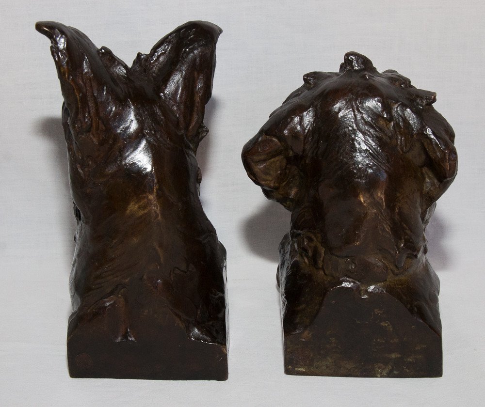 Pair Of Busts Of Dogs Maximilien-louis Fiot (1886-1953)-photo-3