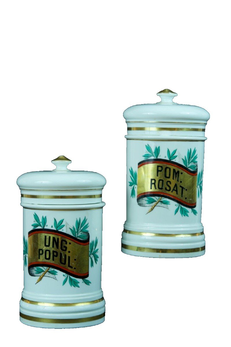 Old Pair Of Pharmacy Pots 19th Porcelain From Paris Lefebure Apothecary Decor-photo-2