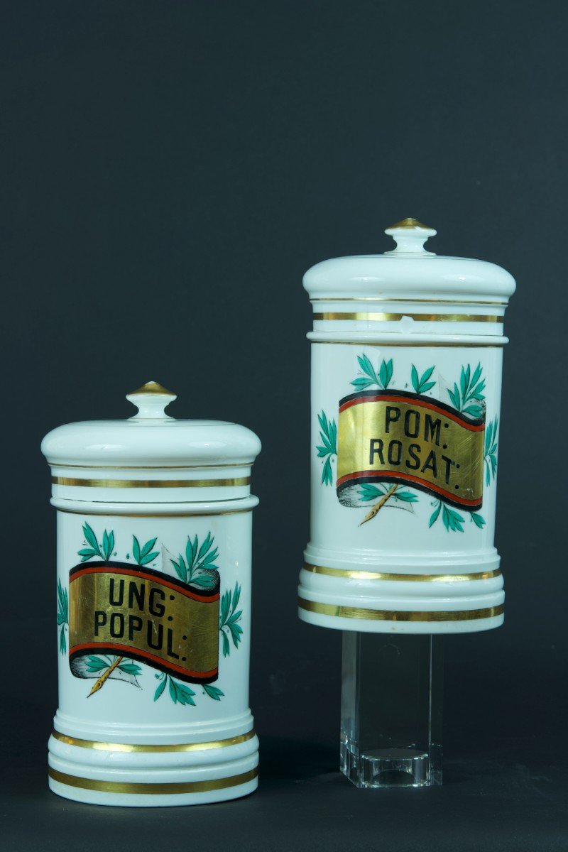 Old Pair Of Pharmacy Pots 19th Porcelain From Paris Lefebure Apothecary Decor-photo-3