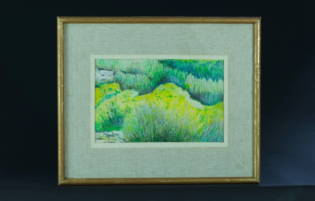 René Riey Beautiful Old Drawing Impressionist Light Effect The Lavender Juan Les Pins Landscape-photo-6