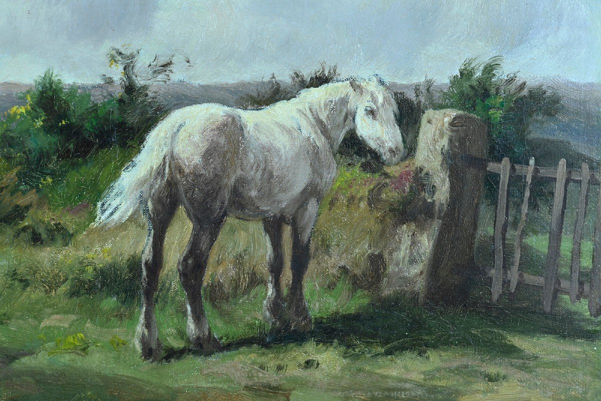 Clément Quinton  Tableau Portrait Chevaux Paysage Ciel Barbizon Barrière 19ème Huil cadre -photo-1