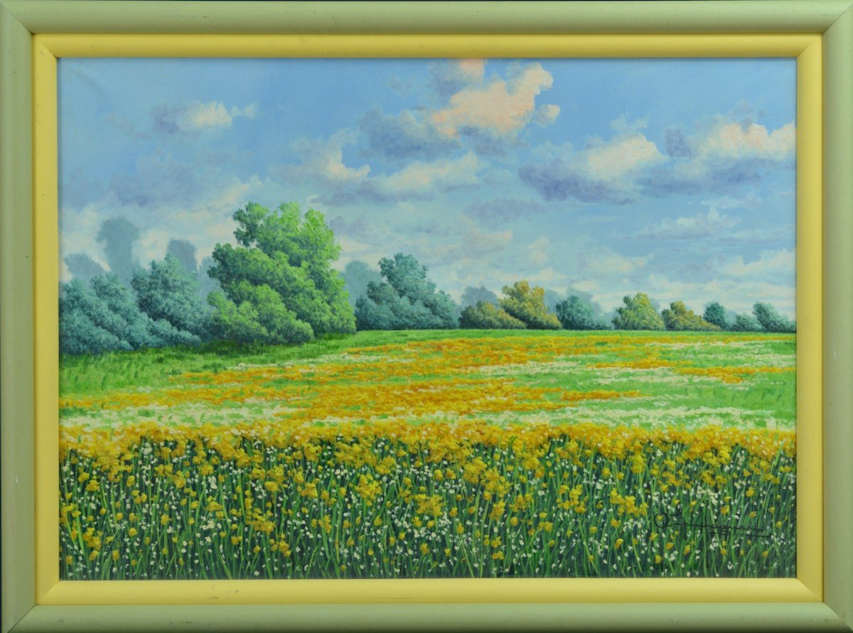 Licinio Campagnari Beautiful Old Painting Landscape Field Of Rapeseed Italy Umbria-photo-2