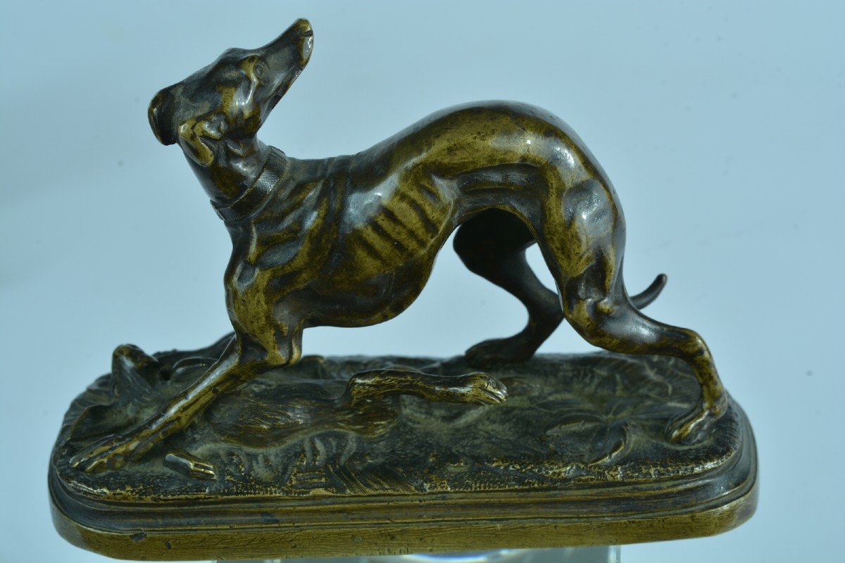 Jules Moignez Old Animal Bronze Greyhound With Hare Collection No. 5 19th-photo-3