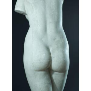 Statue Ancienne Portrait De Vénus Jeune Fille Nue Villa Albani Plâtre  atelier Antique