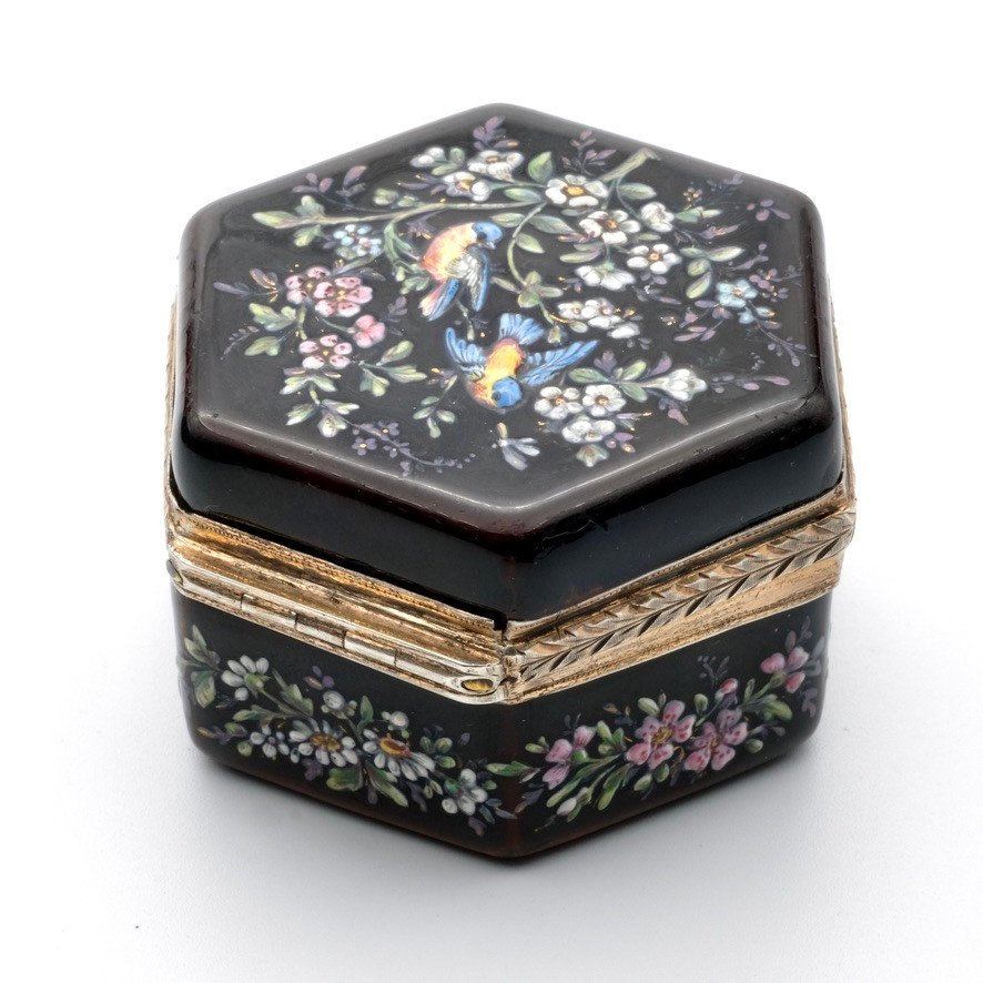 Napoleon III Pill Box Enameled With Birds And Flowers, Vermeil-photo-2