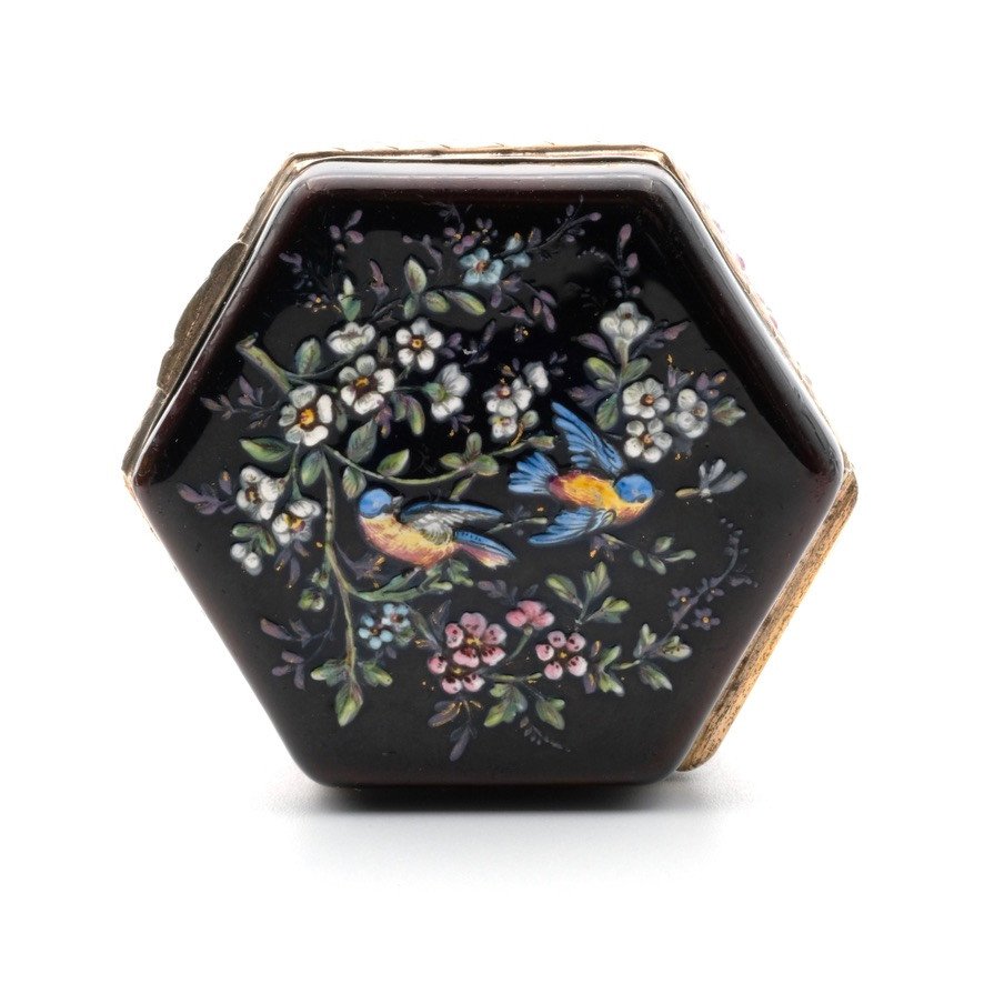 Napoleon III Pill Box Enameled With Birds And Flowers, Vermeil-photo-1