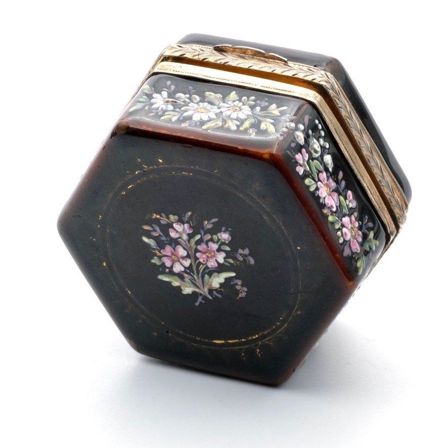 Napoleon III Pill Box Enameled With Birds And Flowers, Vermeil-photo-3