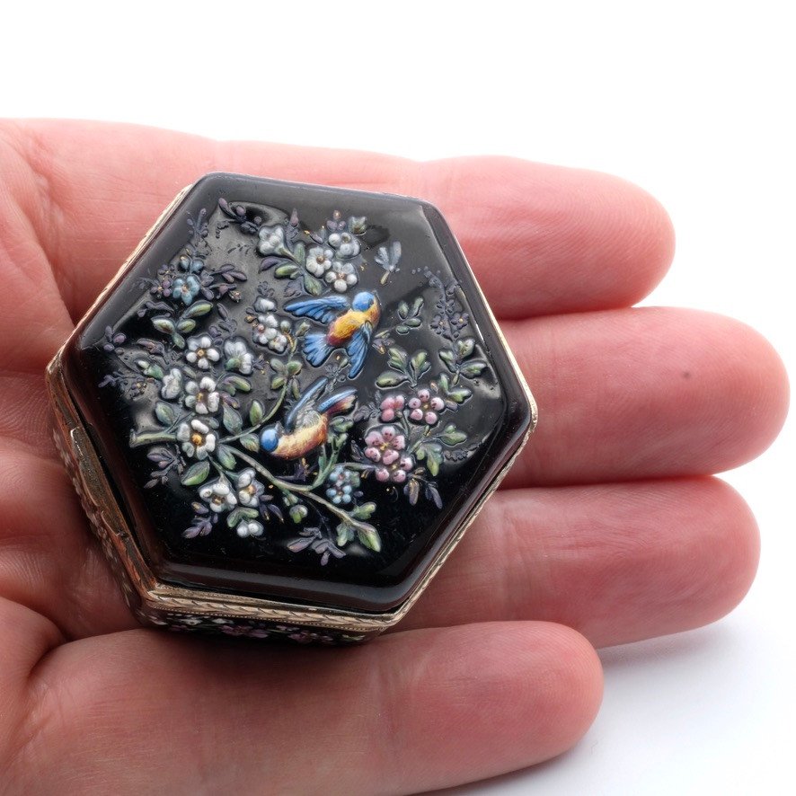 Napoleon III Pill Box Enameled With Birds And Flowers, Vermeil-photo-4