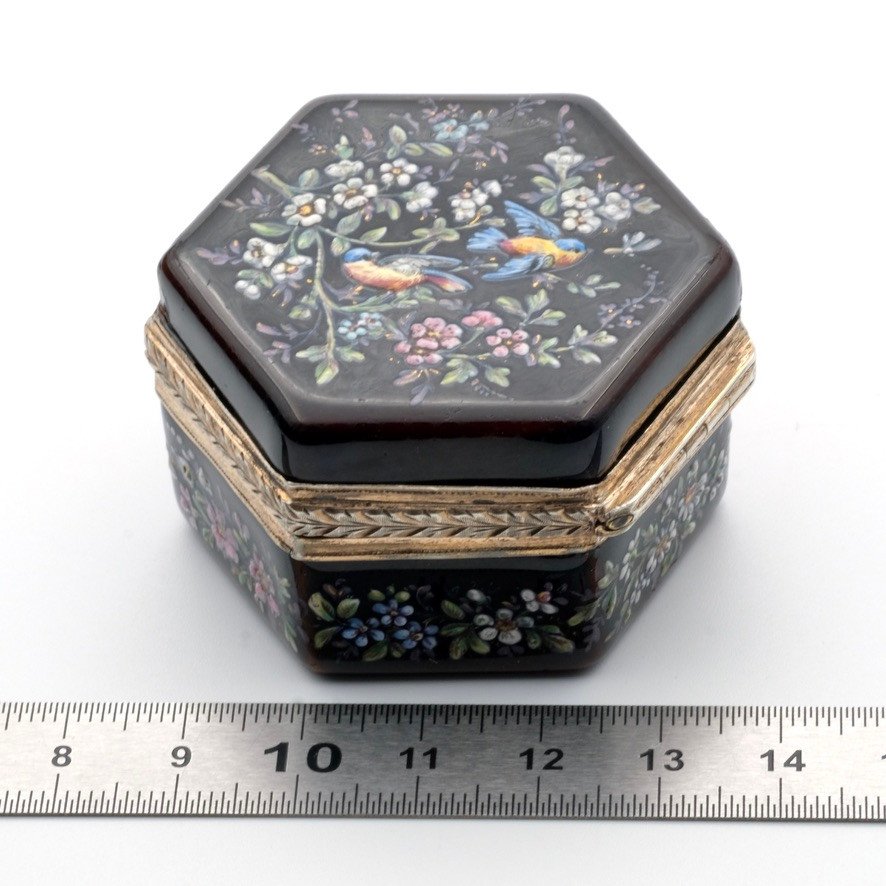 Napoleon III Pill Box Enameled With Birds And Flowers, Vermeil-photo-5