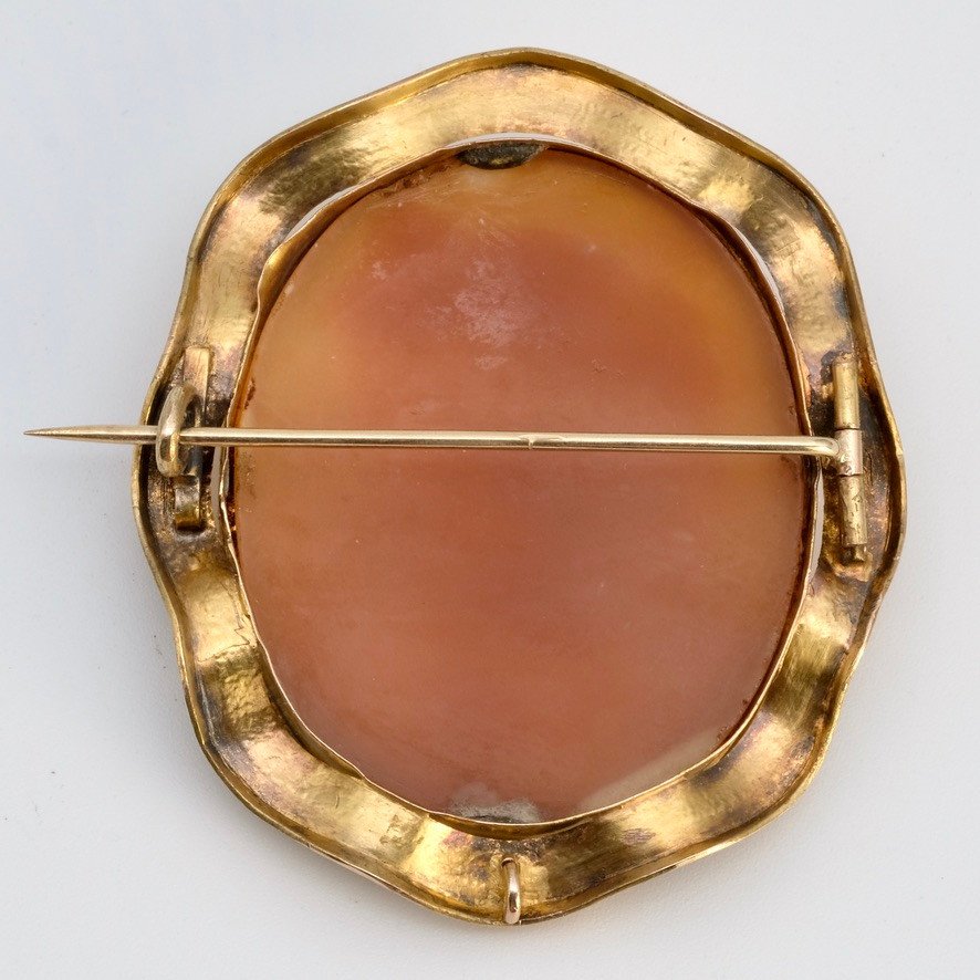 Cameo Brooch With Flora Profile In Gold And Shell, In Napoleon III Period Case-photo-6