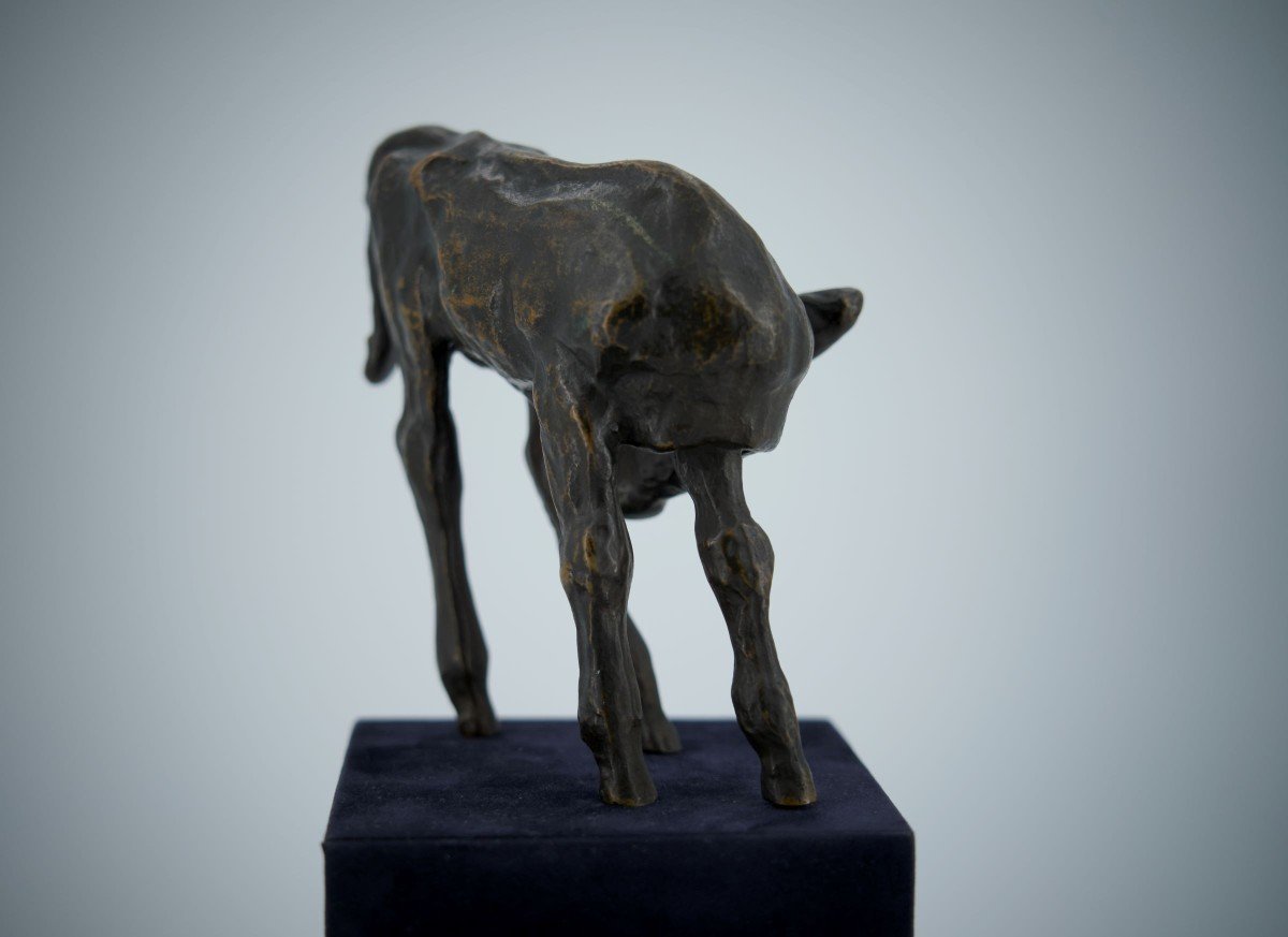 Renée Sintenis (1888 – 1965) Bronze Sculpture “young Bull”-photo-4