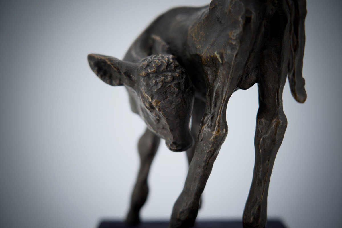 Renée Sintenis (1888 – 1965) Bronze Sculpture “young Bull”-photo-3