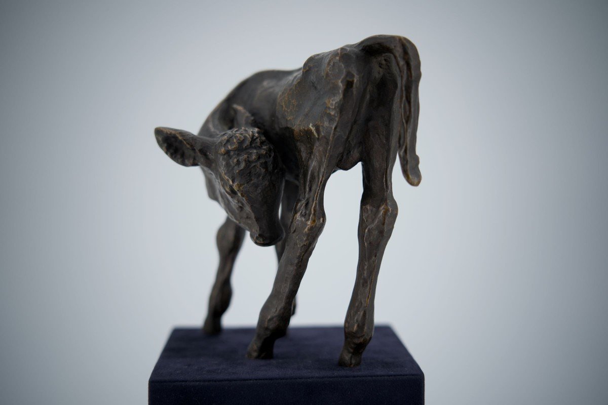 Renée Sintenis (1888 – 1965) Bronze Sculpture “young Bull”-photo-4