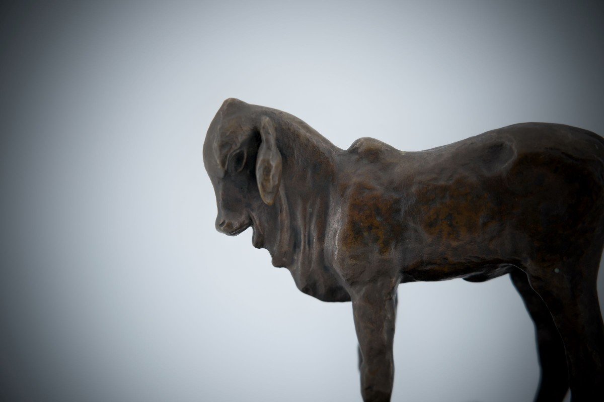 Renée Sintenis  (1888 – 1965) Bronze « Veau Zébu Debout »-photo-2