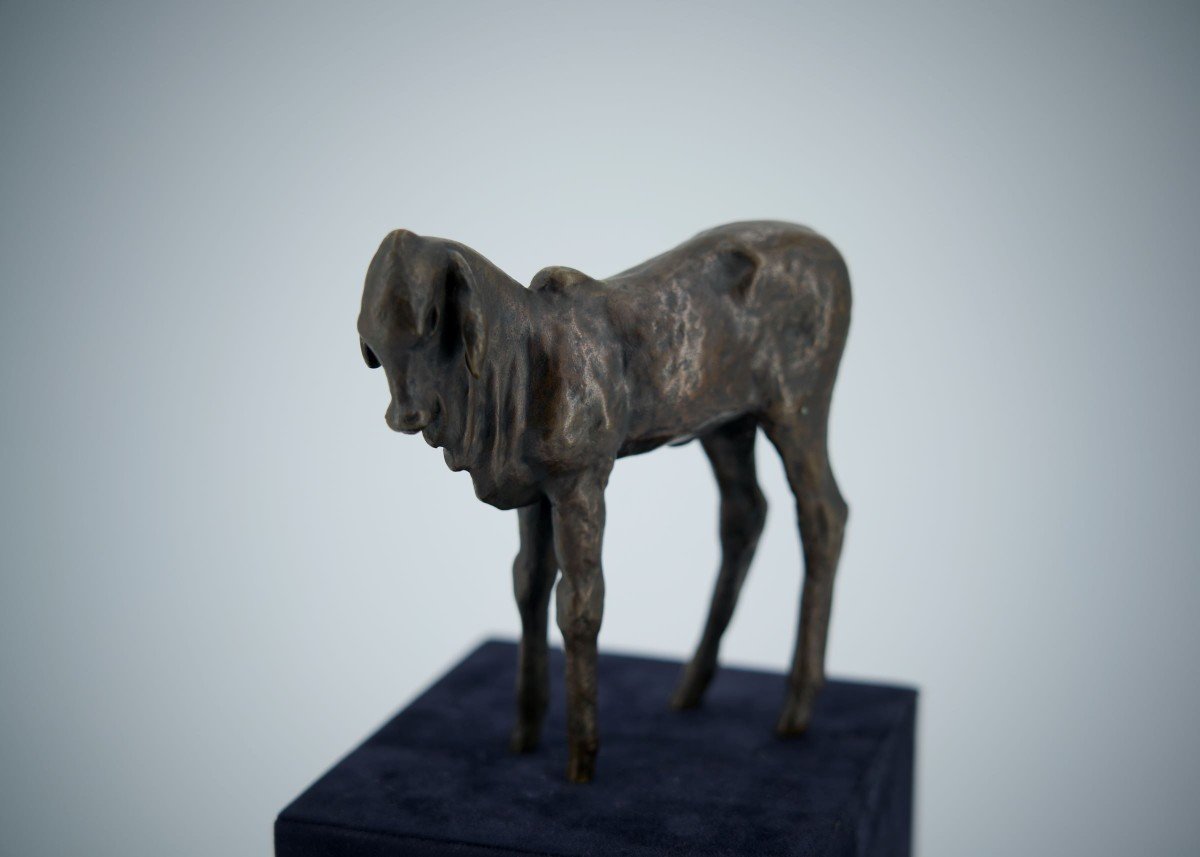 Renée Sintenis (1888 – 1965) Bronze “standing Zebu Calf”-photo-3